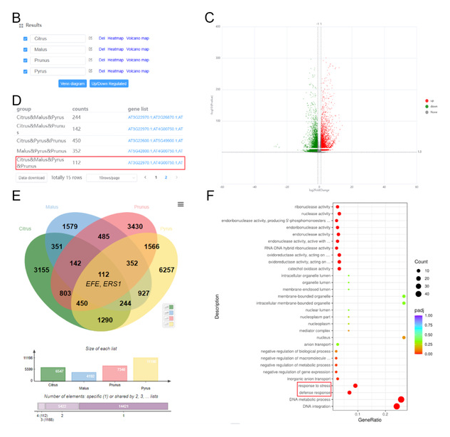 1687340964974531.png image.png