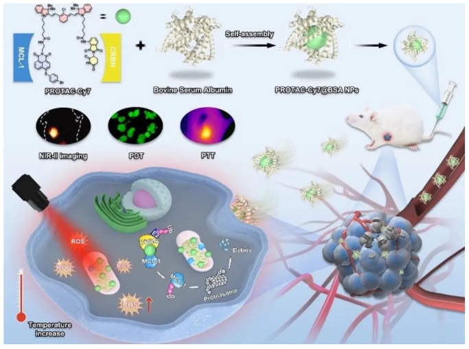 1687341695470610.png image.png