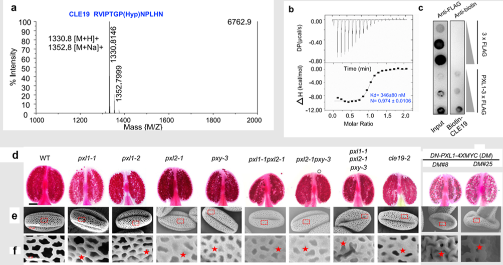 1687665648912236.png image.png