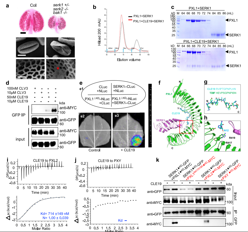 1687665682896134.png image.png