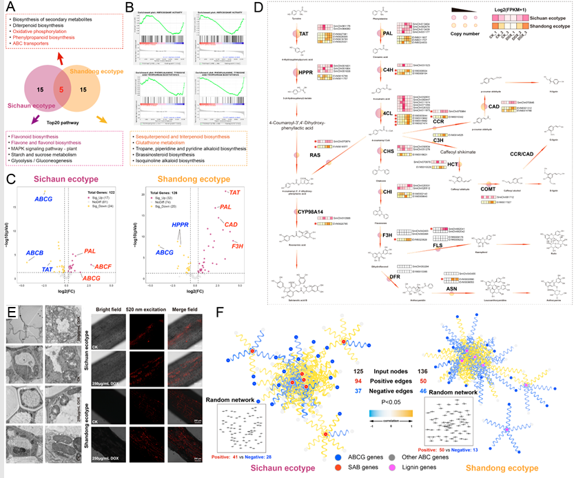 1687757981348358.png image.png