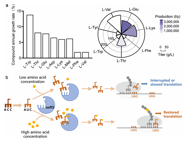 1687758312106554.png image.png