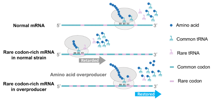 1687758325542653.png image.png