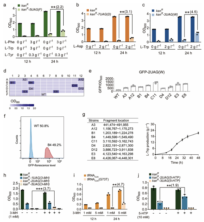 1687758415802514.png image.png