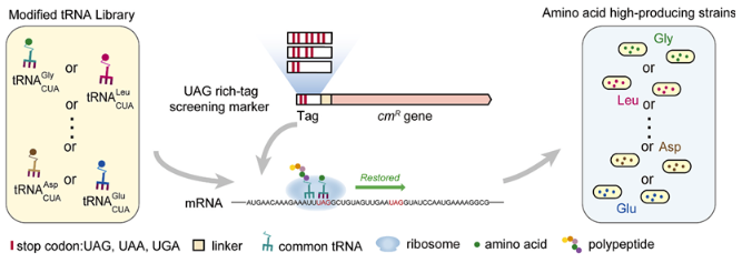 1687758429313784.png image.png