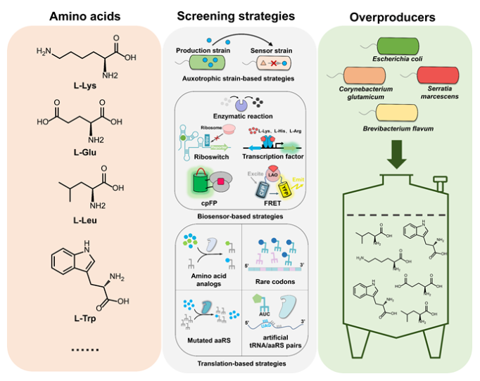 1687758441606453.png image.png