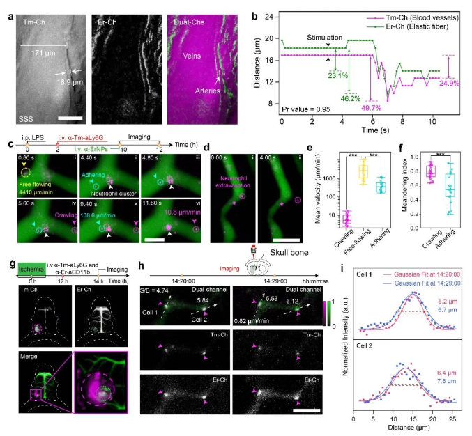 1687758625805194.png image.png