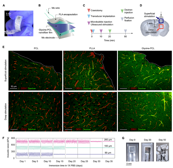 1687829972282893.png image.png