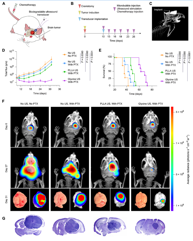 1687829988119129.png image.png