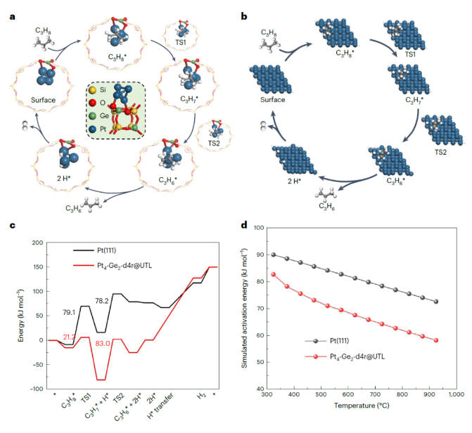 1687920101795259.png image.png