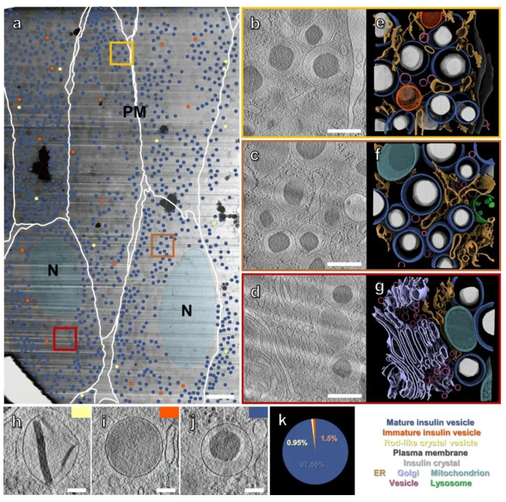 1688018350552670.png image.png