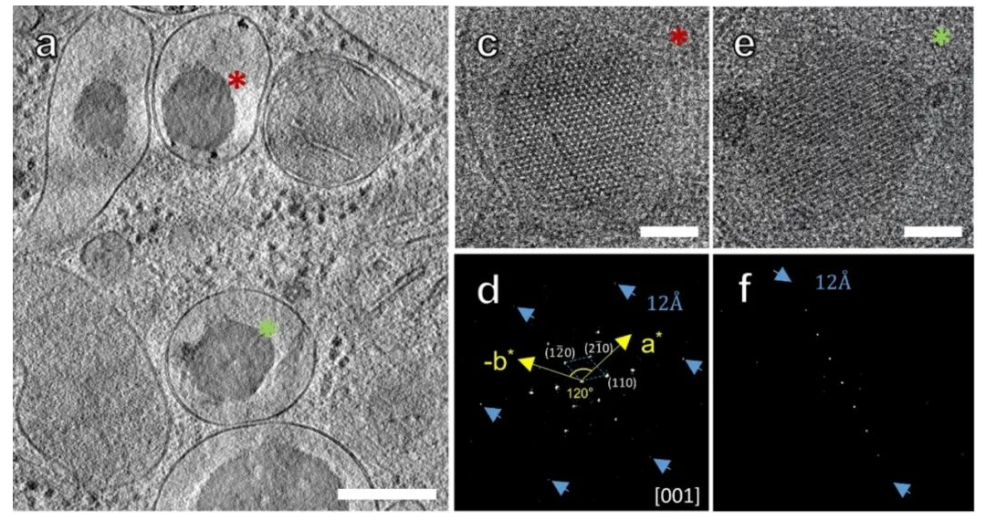 1688018360218084.png image.png