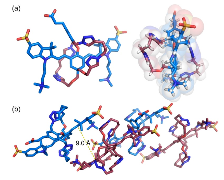 1688107098426282.png image.png