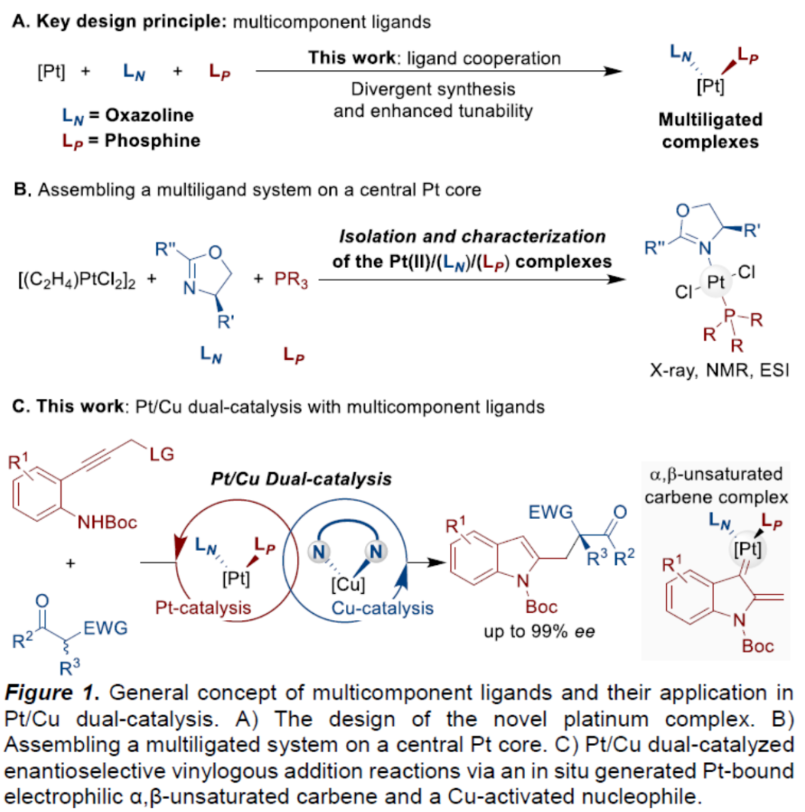 1688695937684707.png image.png