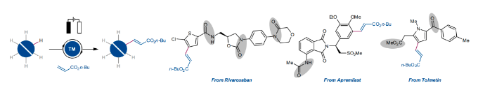 1691054771164547.png image.png