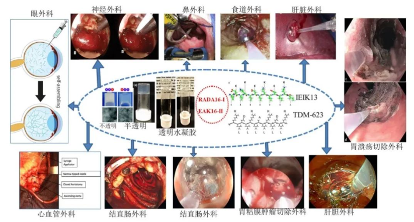 1693193806263737.png image.png