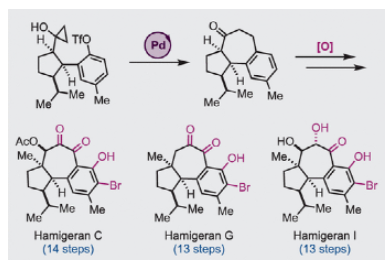 1693194188963734.png image.png