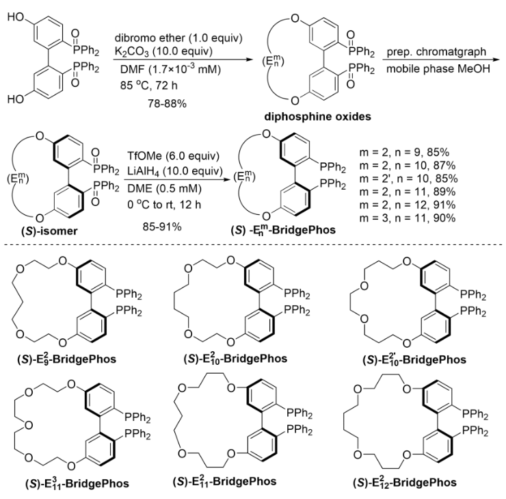 1693194900522478.png image.png