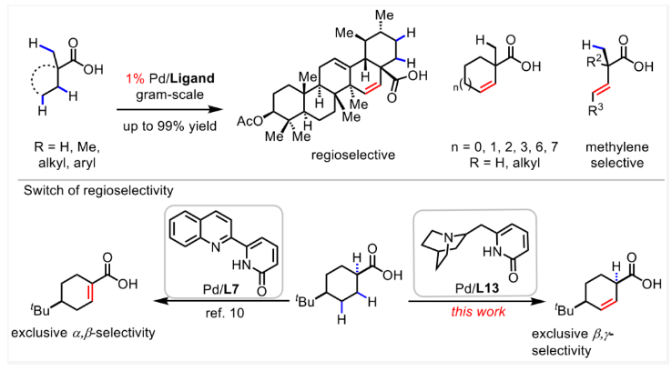 1695111724671119.png image.png