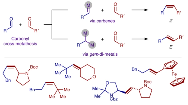 1695264252757483.png image.png