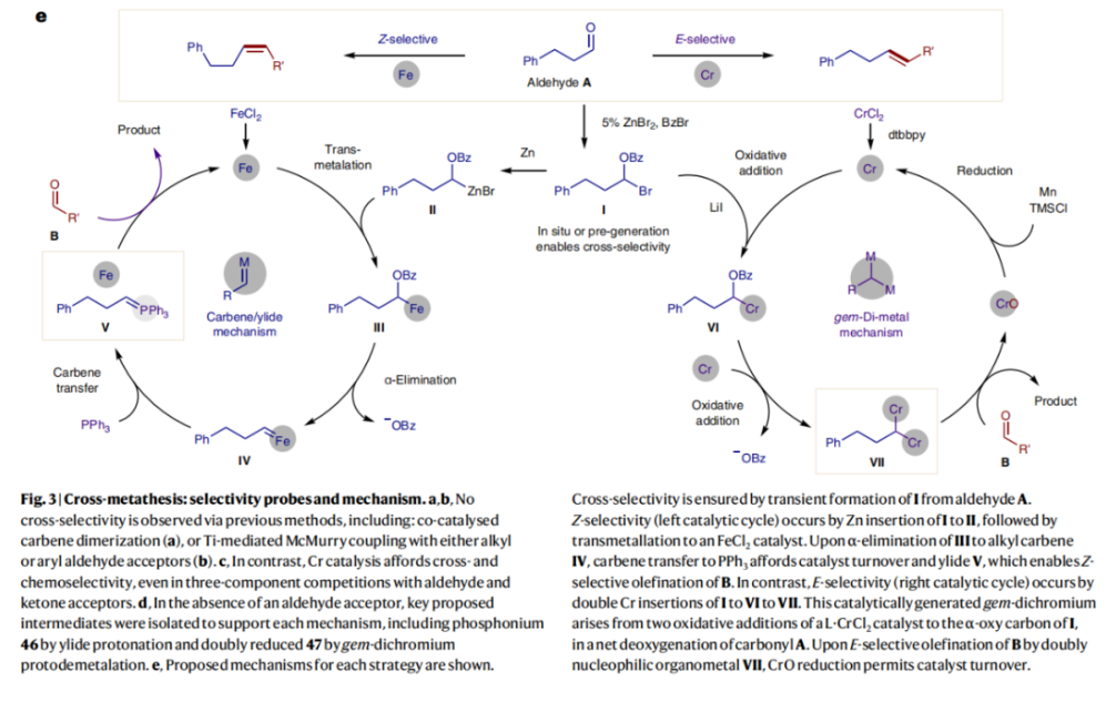 1695264370300150.png image.png