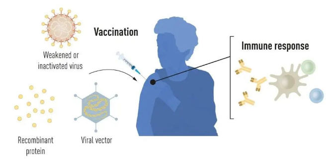 1696639014897424.png image.png