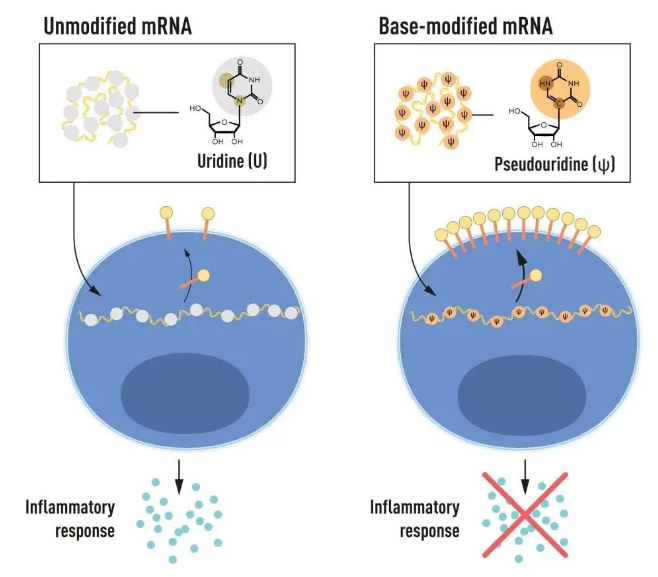 1696639027708573.png image.png