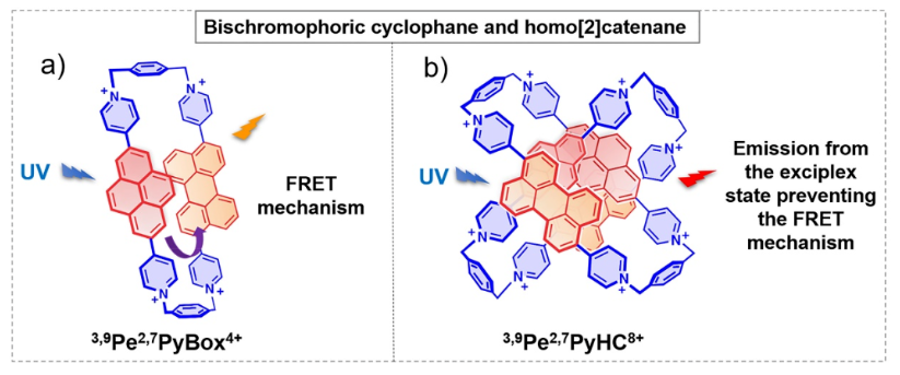 1696746816778541.png image.png