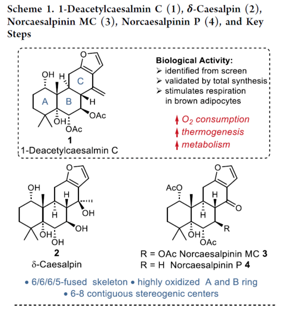 1696749957595323.png image.png