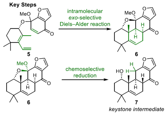 1696749972465154.png image.png