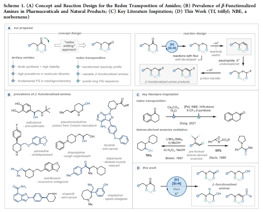 1696986228217799.png image.png