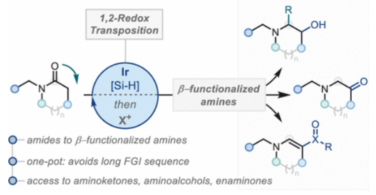 1696986246872169.png image.png