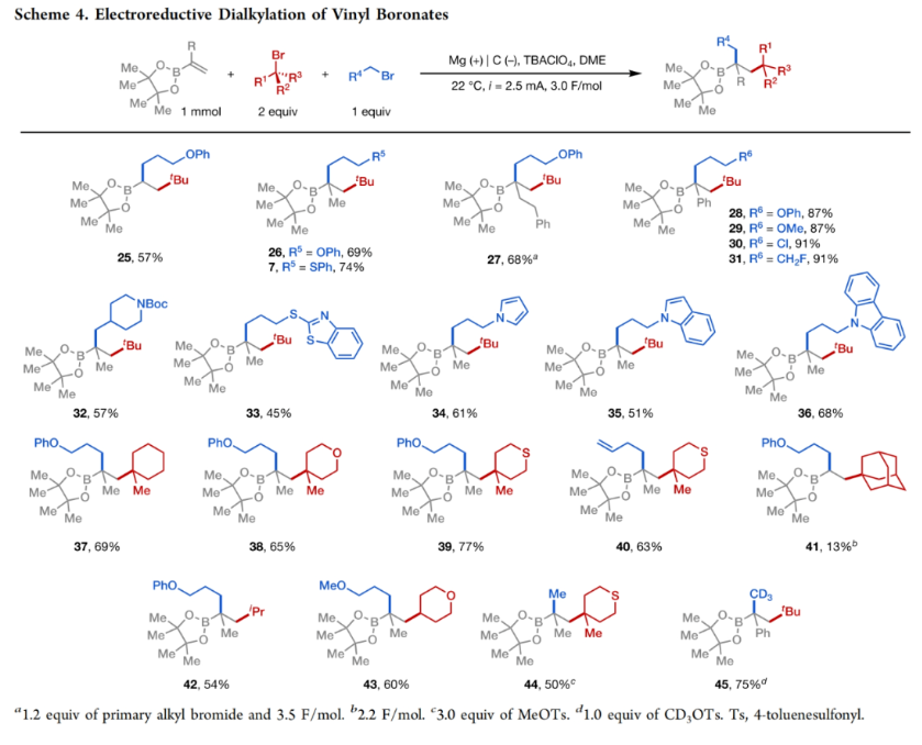 1696990572782213.png image.png