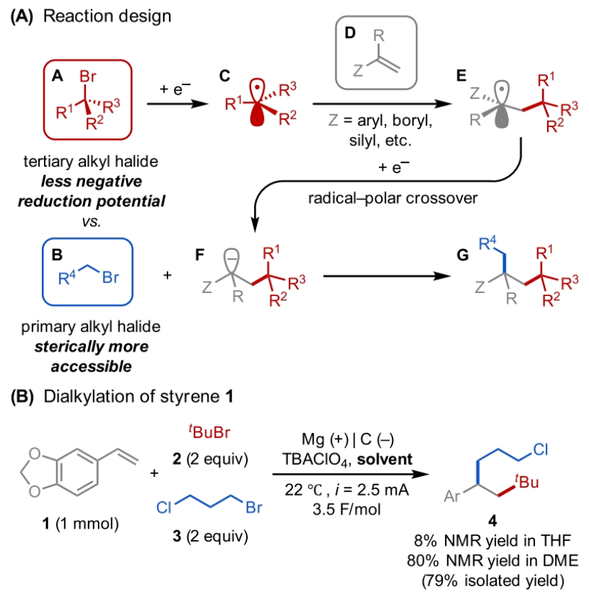 1696990622345500.png image.png