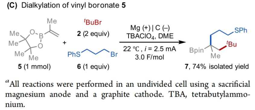 1696990631954951.png image.png