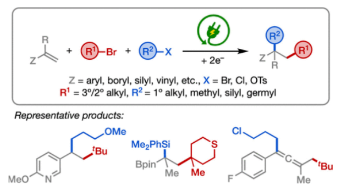 1696990663220382.png image.png