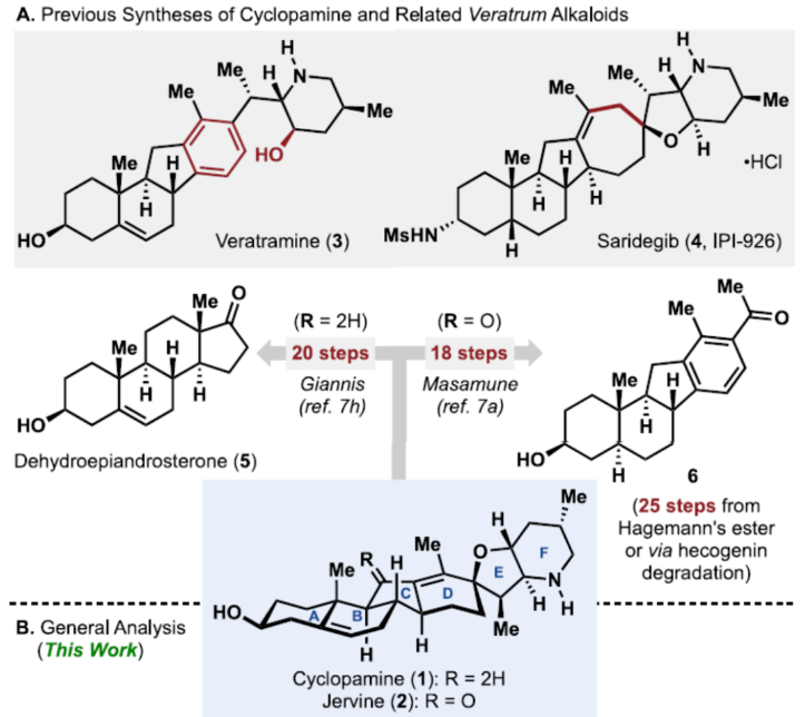 1696991011832305.png image.png