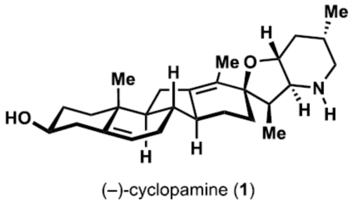 1696991034950754.png image.png