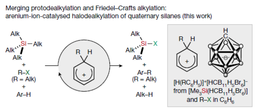 1697530132889955.png image.png