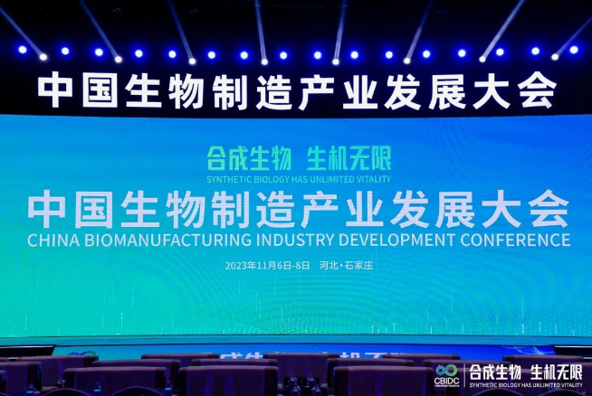 1699408867165206.png image.png