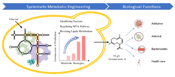 1700634890109019.png image.png