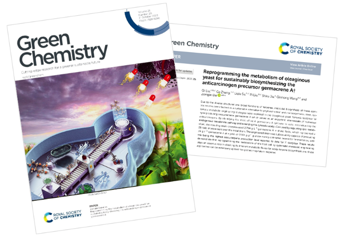 1700634900562442.png image.png