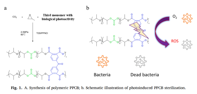 1700635274467363.png image.png