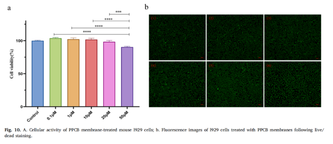 1700635302386356.png image.png