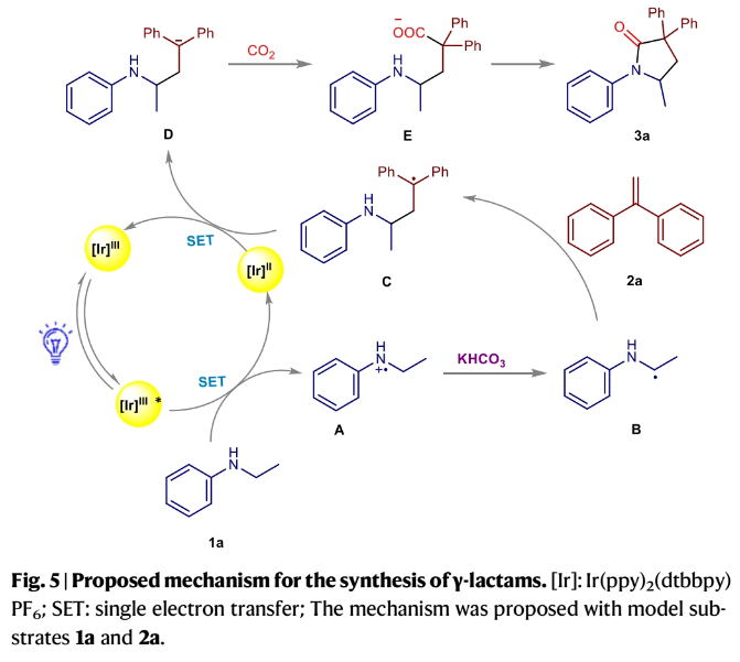 1701062556143184.png image.png