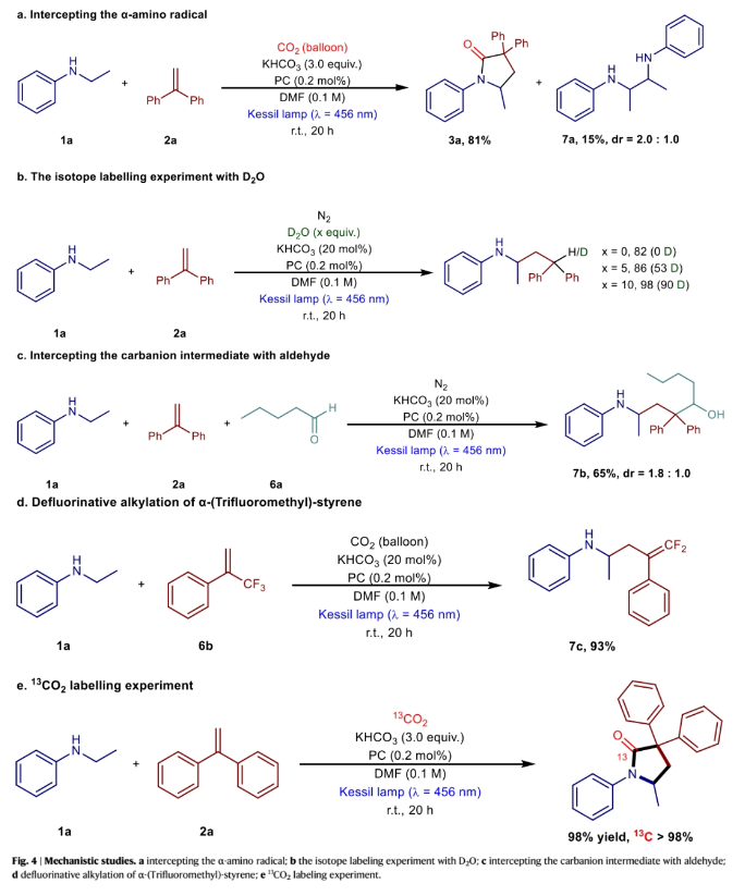 1701062572404324.png image.png