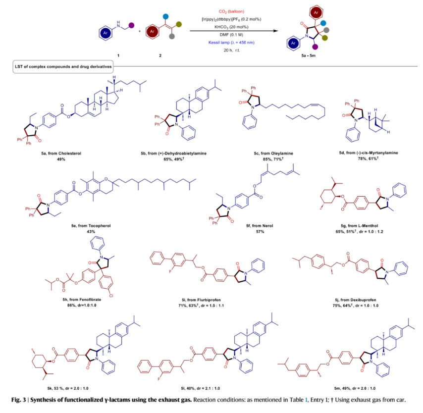 1701062603255410.png image.png