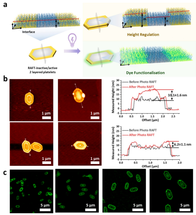 1701062953551659.png image.png