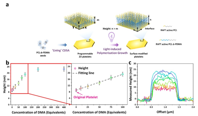 1701062964486730.png image.png