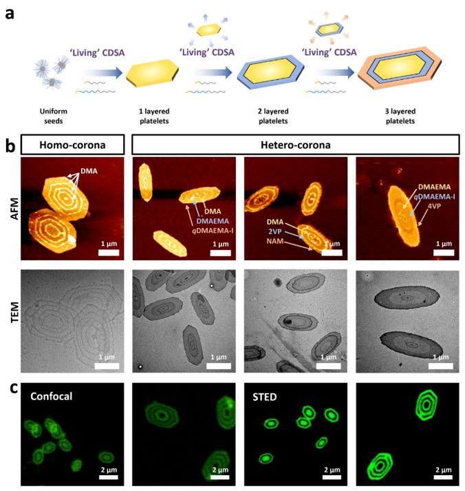 1701062977763562.png image.png